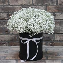 Цветочная композиция из Гипсофила в шляпной коробке #REPLACE_PRED# Северобайкальске