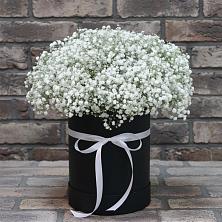 Цветочная композиция из Гипсофила в шляпной коробке в Северобайкальске